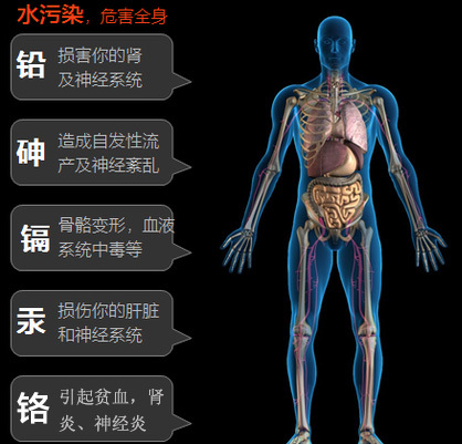 重金属是怎样一步步污染水源，危害人体健康的